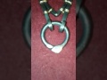 The New Collar Is Ready For A New Home 