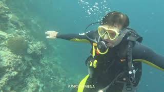 A Clown Anemone Fish,A Scuba Diver And The Cfd Divers In Moalboal, Cebu, Philippines .
