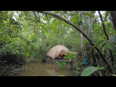 BERMALAM DI RAWA DAN TERPERANGKAPNYA RAJA BAUNG HUTAN SAAT AIR NAIK