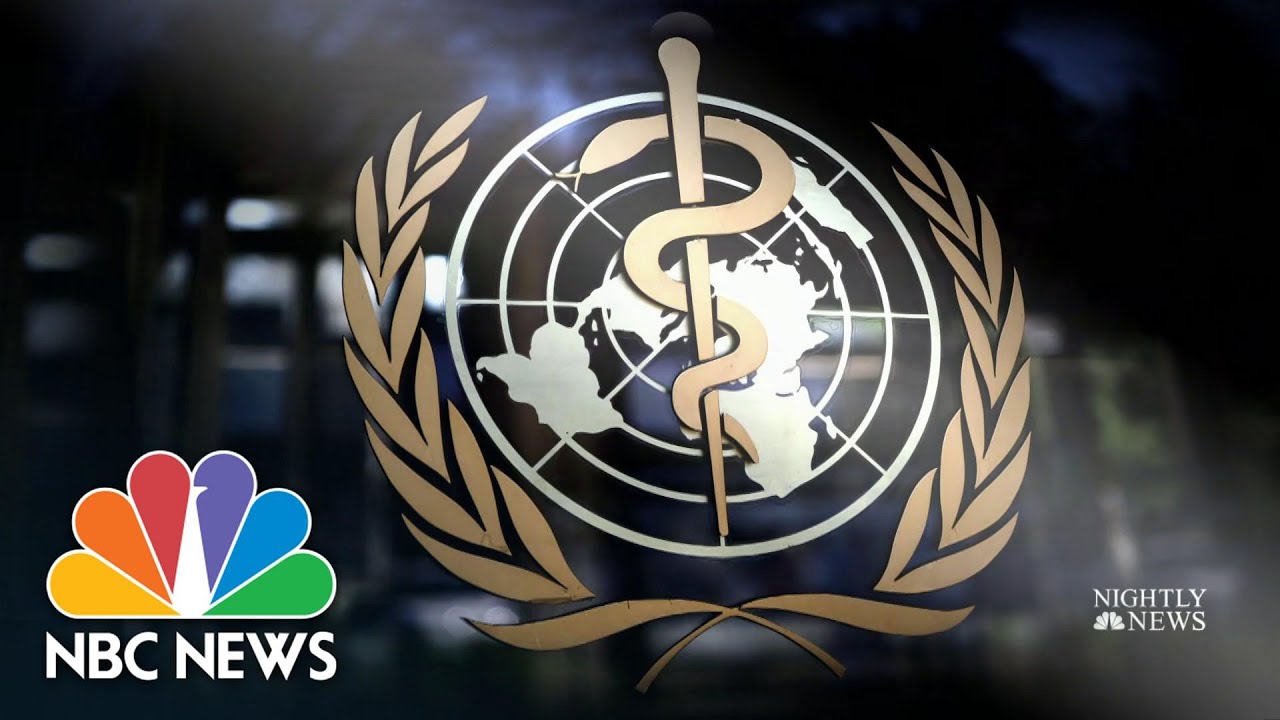 Growing Criticism Over Joint WHO-China Report On Covid Origin | NBC Nightly News