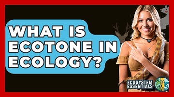 What Is Ecotone In Ecology? - Ecosystem Essentials