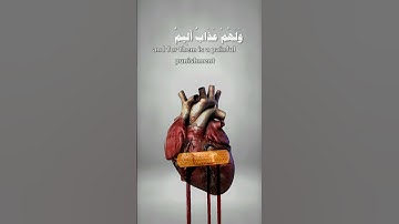 في قلوبهم مرض فزادهم الله مرضا #احمد_العجمي #سورة _البقرة