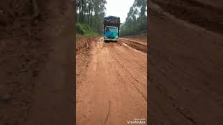 Detikdetik Truk Sawit Tumbang