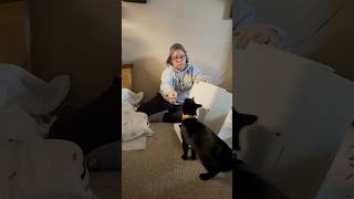 My cat helps me unbox the Yeedi robot vacuum and mop