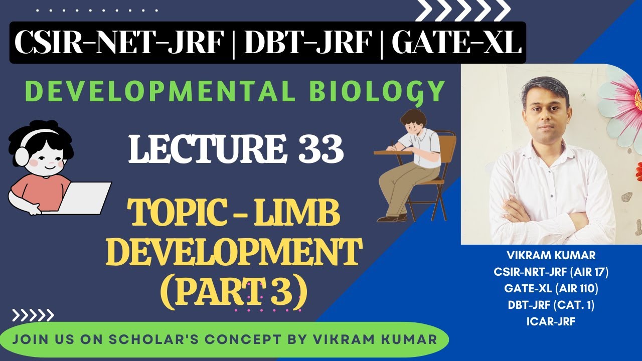 Limb Development (Part 3) | Retinoic Acid | Axis Determination