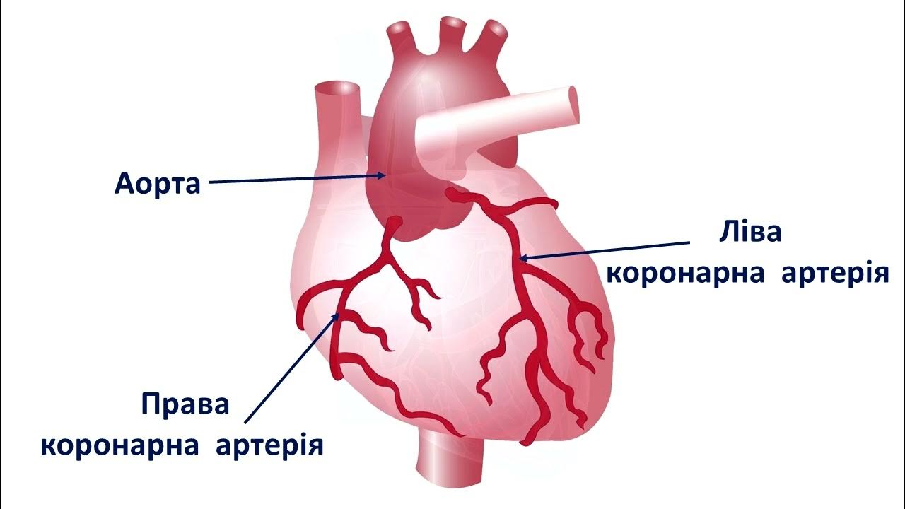 Коронарні