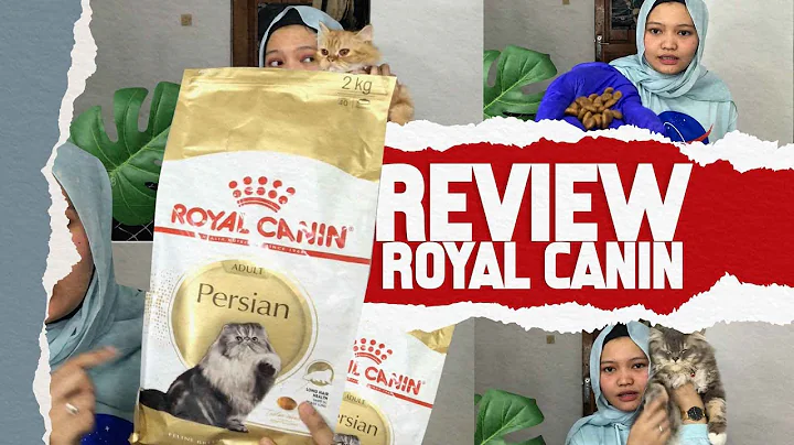 Watch the video about REVIEW JUJUR ROYAL CANIN PERSIAN ADULT
