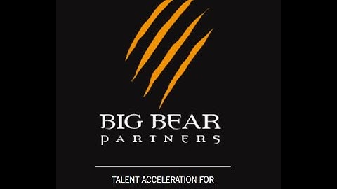 HR Tech Stack Assessment with Big Bear Partners!