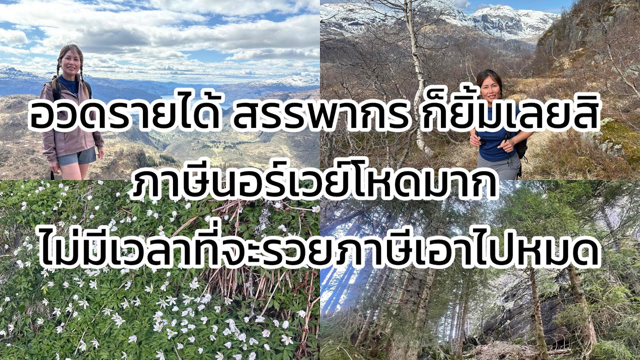 🇳🇴ภาษีที่นอร์เวย์โหดมาก ไม่มีเวลาจะรวยภาษีเอาไปหมด