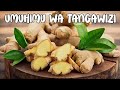 FAIDA YA TANGAWIZI Benefits Of Ginger 