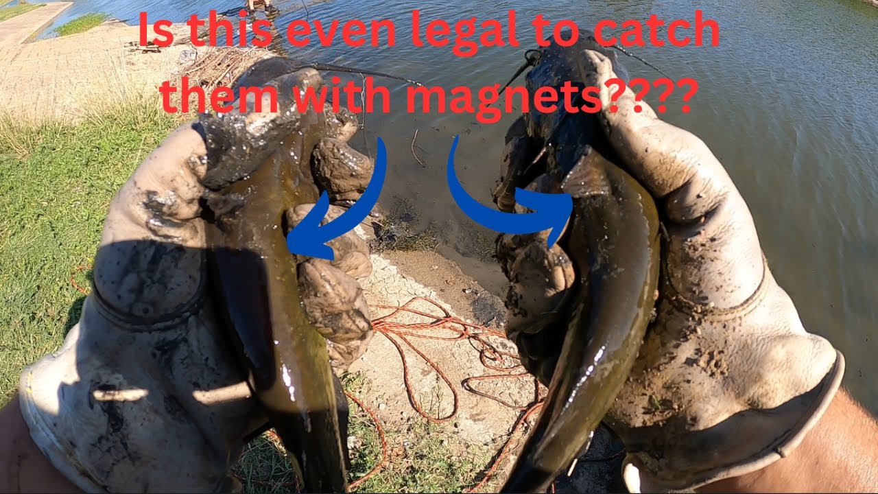 Magnet Fishing Tulsa Oklahoma!