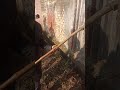 Yhe Video Giram Aaka Dilari Camarpuradan Ki He Dheko Iski Naali Or Taste Yhe Video Giram Aaka Dilari Camarpuradan Ki He Dheko Iski Naali Or Taste