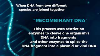 SCIENCE 10-GENETIC ENGINEERING