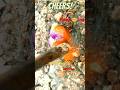 How To Find Agates Crystal Hunting Diamond Mining Shorts Youtubeshorts Trending How To Find Agates Crystal Hunting Diamond Mining Shorts Youtubeshorts Trending
