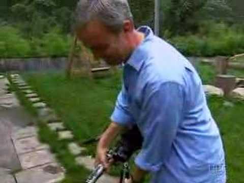 Panda cubs attack news reporter