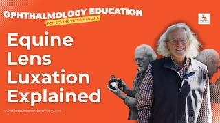 Equine Lens Luxation Explained: A Hidden Cause of Vision Loss