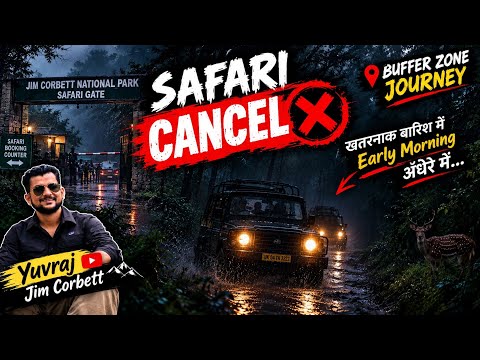 SAFARI CANCEL ❌ फिर बारिश में जंगल की रोमांचक Journey | Jim Corbett Vlog #jimcorbett 