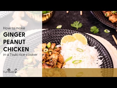 Ginger Peanut Chicken With Rice Made In A Tsuki Rice Cooker