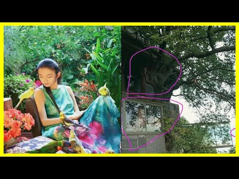 王菲和楊麗萍在云南的豪宅！一個像極了空中花園，一個是豪宅之王