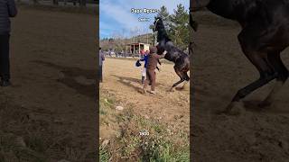 забайкальский край 2 место. усть-обор. бурятия. лошади. кони. красотка.