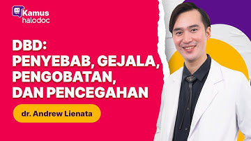 Demam Berdarah: Penyebab, Gejala, Pengobatan, dan Pencegahan