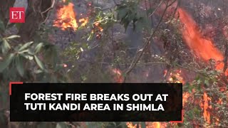 Himachal Pradesh: Forest fire breaks out at Tuti Kandi area in Shimla