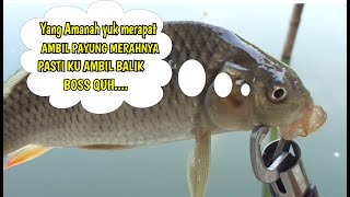 FISHING MANIA !!! MANCING IKAN MAS PELAMPUNG SAMPAI TENGGELAM | FISHING KNOT