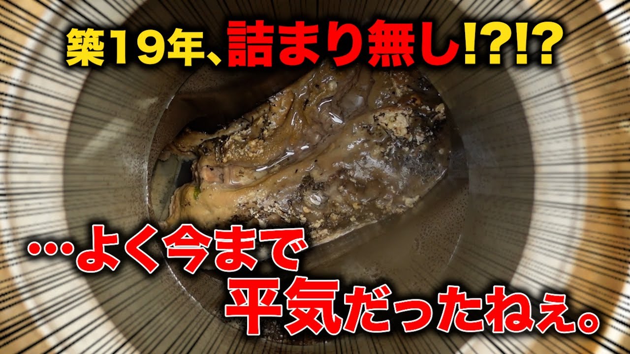 配管の中は油たっぷり！！築19年、詰まりなし！？よく今まで平気だったね！【花のお掃除 #406】