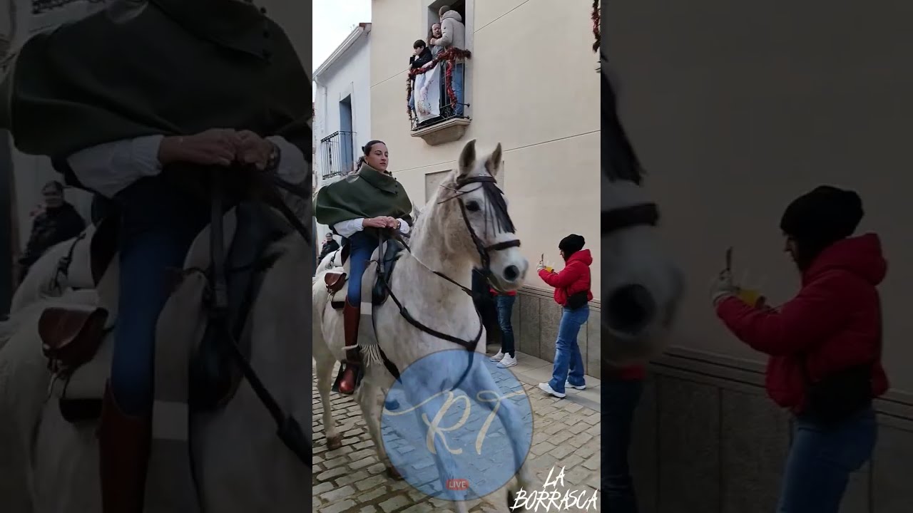 2-й день лошадей Ла Борраска (Чеклавин)