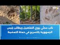 ظهور حيوان مفترس يتجاوز وزنه الــ 250 كغ في غابات الزركين 1 يثير القلق