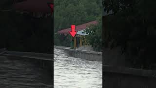 Massive Waves Hit the Shore #MassiveWaves #ContainerShips #Shorts