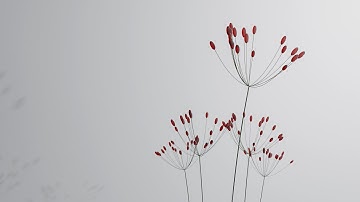 Blender 3.3 geometry node dandelion