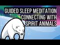 Connecting With Spirit Animals 😴 LONG SLEEP STORY FOR GROWNUPS 💤 Reduce Stress, Anxiety & Worry