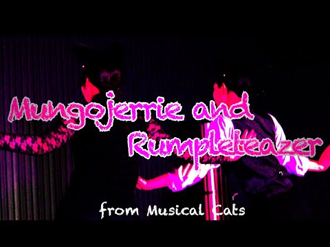 CATS】Mungojerrie and Rumpleteazer(マンゴジェリーと