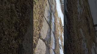 Askeri Taktikler 2023Te Ukraynada Bir Patlama Dalgasının Gerçek Görüntülerini Içeren Bir Video