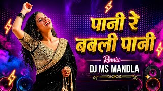 Pani Re Babli X Pani Re Babli Sunau Kya - CG Trending Remix | DJ Hari Remix