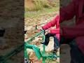 unique tool for plowing rice fields #shorts