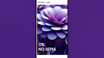 CSS Filter sepia #css #css3 #filter #sepia #style #csstips #csstricks #interviewpro