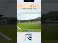 이런 죄 지으면 소년원 간다...비행명 1위는 #시사기획창 #소년원 #소년범 #흉악범 #보호관찰위반 #절도 #폭력 #강력범죄