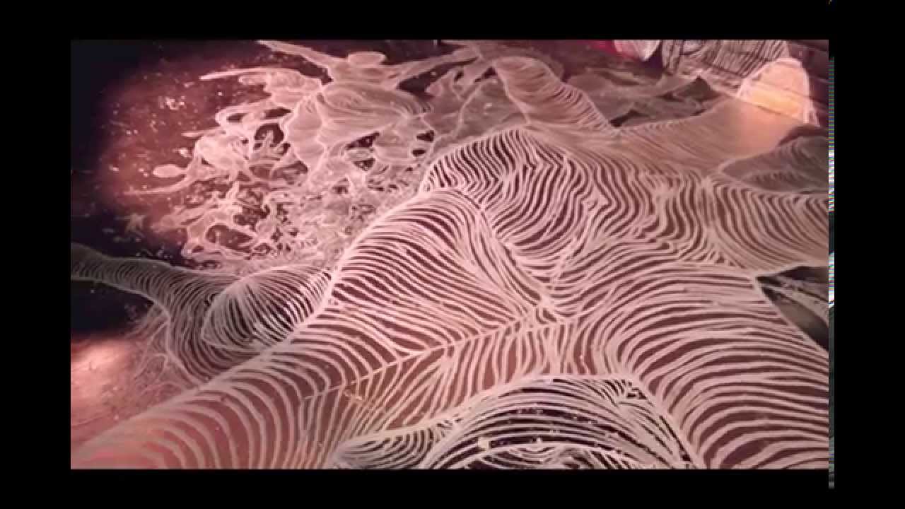 Janne Parviainen - The Dawn