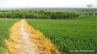 Famous Ley Lines: Sacred Sites and Ley Lines Even American Cities Are Aligned Profile