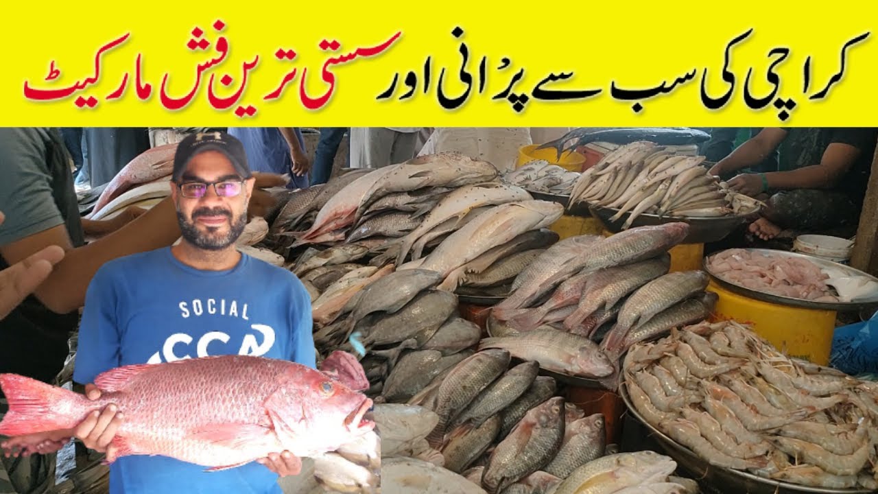 Wholesale Fish Market Karachi Bangali Para Fish Market Fish Market