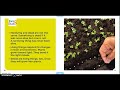 Living and Non-Living Things Quiz