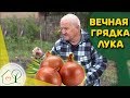 Бублик Б.А. Вечная грядка лука 🔃 Огород без хлопот