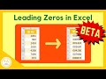 Excel leading zeros setting beta  tutorial