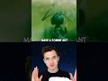 Zombie Ant Science Ants 