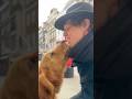 Public kissing #dogs #cutedog #christmas #doglover #dogshorts #doglovers #doglife #london #mayfair