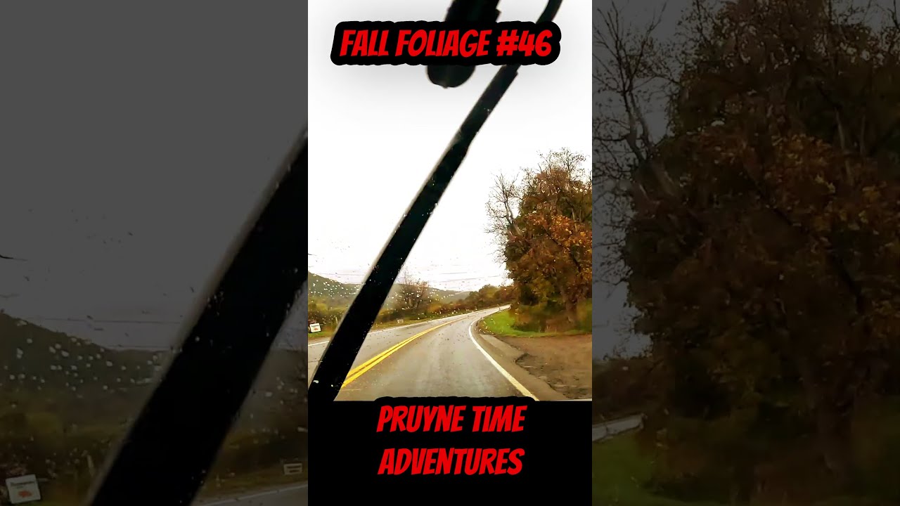 FALL FOLIAGE #46: Rainy Backroads of Steuben County NY. Pruyne Time Adventures