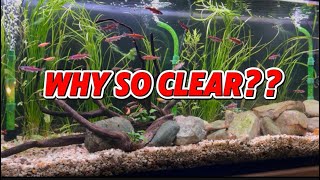 Why My Aquarium Water Is CRYSTAL CLEAR With an Undergravel Filter