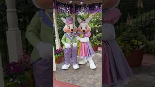 Happy Easter from Mr. and Mrs. Easter Bunny at Magic Kingdom! #disney #easter #easterbunny